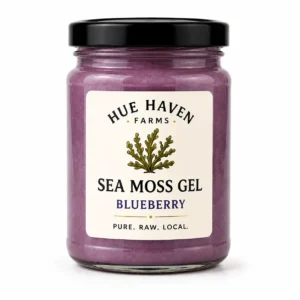 Blueberry Sea Moss 12 oz